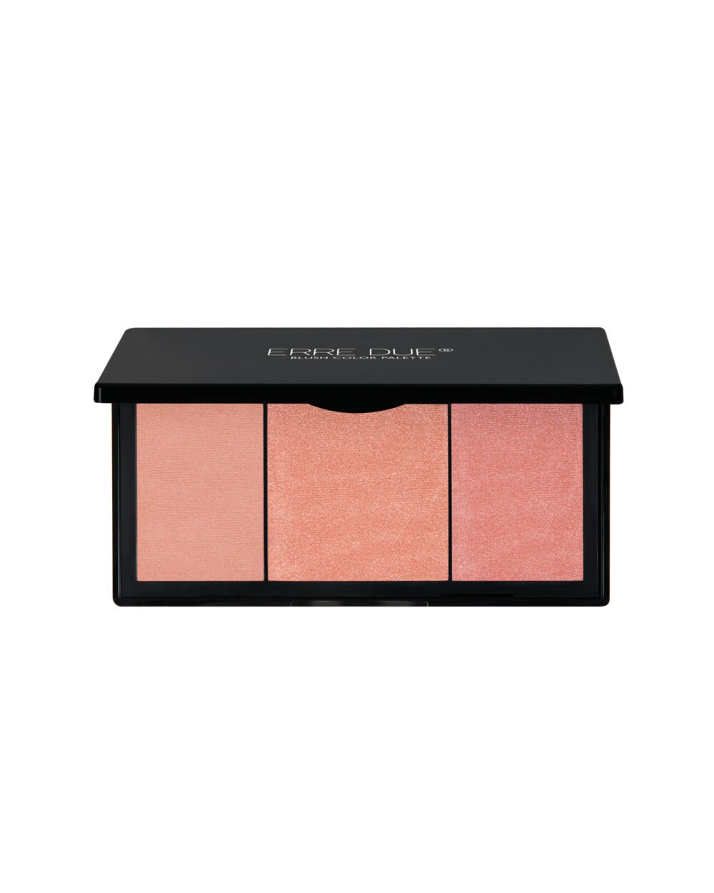 ERRE DUE Eccentric Visioner Nr. 301 skaistalų paletė