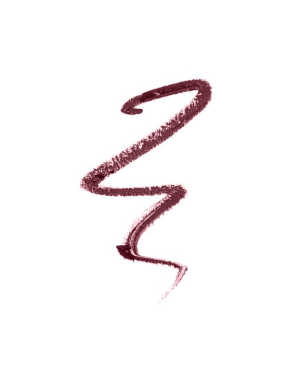 ERRE DUE Merlot SILKY PREMIUM LIP DEFINER Nr. 508 ilgalaikis lūpų pieštukas 2
