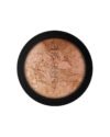 ERRE DUE SPARKLING POWDER Nr. 405 švytėjimo suteikianti pudra 1