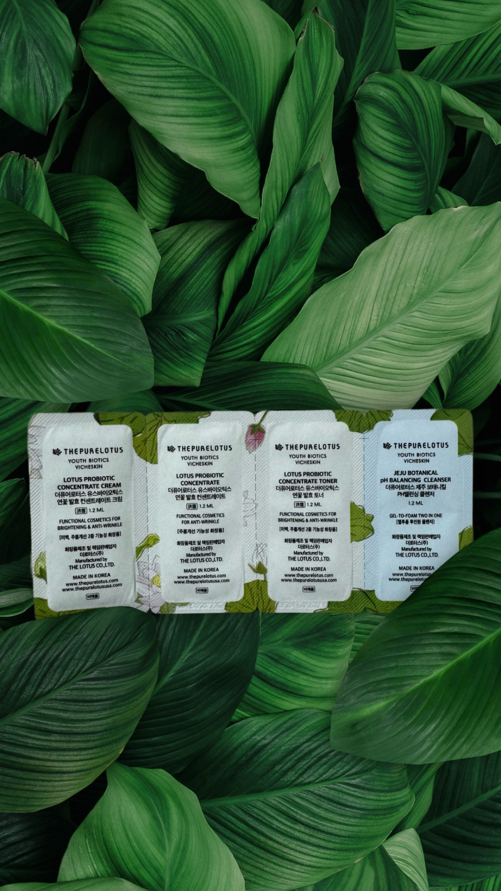 instories_7AC32A7C-2878-42F9-A436-5A4912B66C24