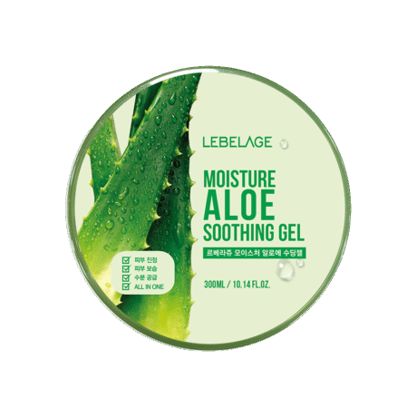 LEBELAGE MOISTURE ALOE SOOTHING GEL 300 ml